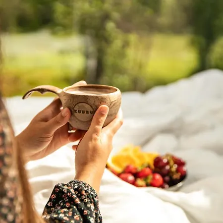 Kuuru Tunturilaakso By Kide Hotel